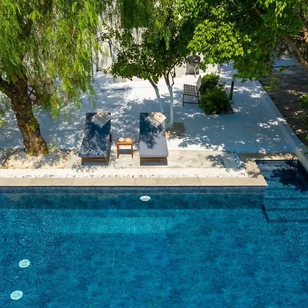 Eleonora עיר רודוס